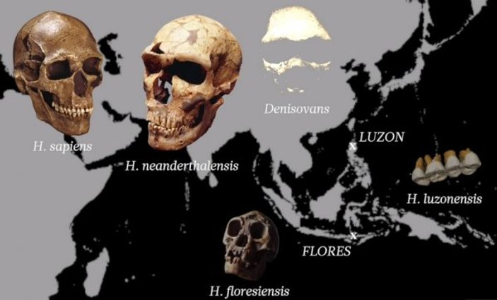 Filipinler'de yeni bir insan türüne ait fosiller bulundu