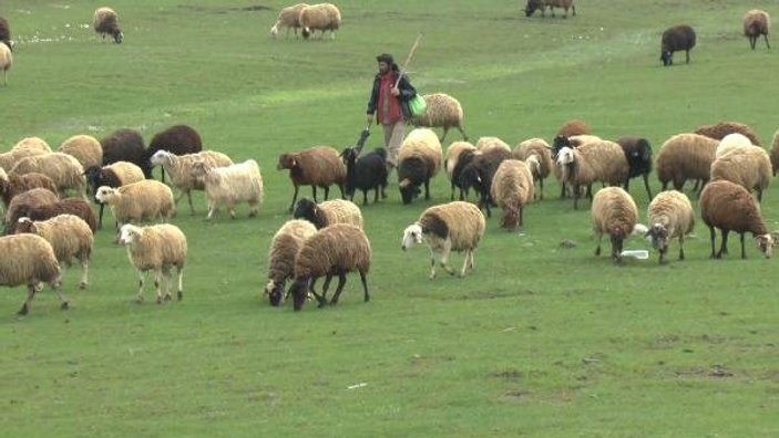 Kar hapsinden kurtulan çobanın mutluluğu