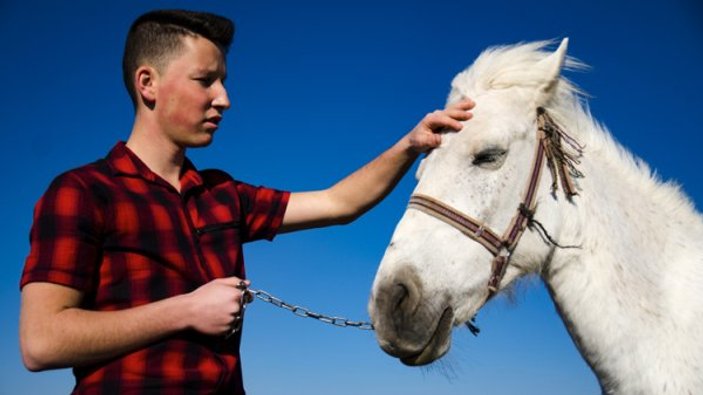Kırım Tatarları'nın at sevgisi Anadolu'da devam ediyor