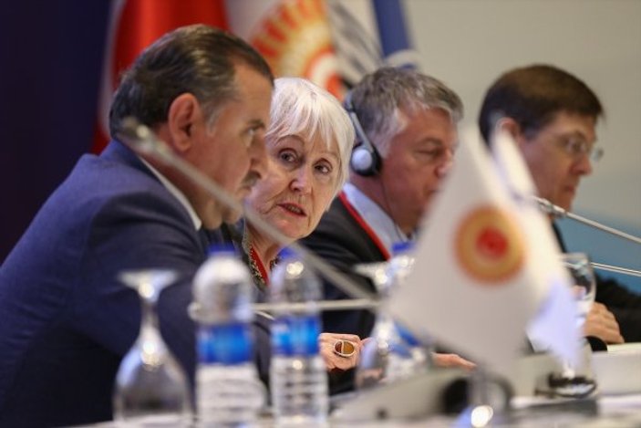 NATO PA toplantısı Türkiye mesajıyla sona erdi