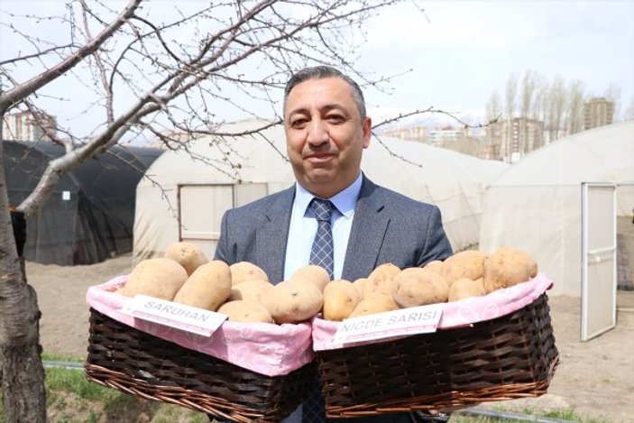 İki patates çeşidi daha Türk tarımına kazandırıldı