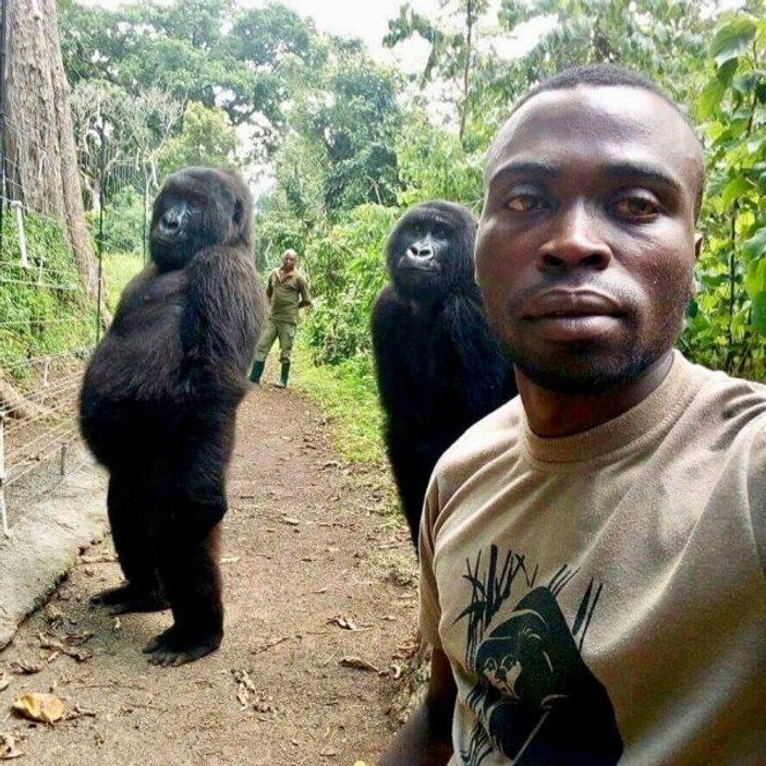 Bakıcılarıyla selfie çektiren goriller