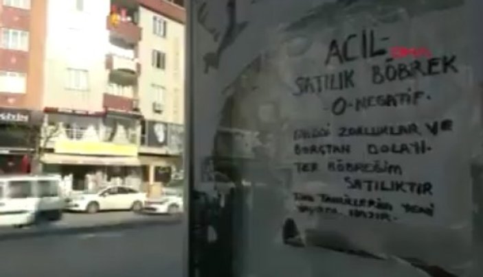 İstanbul'da otobüs duraklarında böbrek ilanı