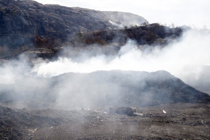 Norveç'te orman yangınları durdurulamıyor