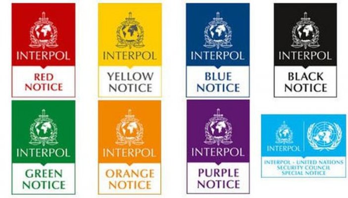 Interpol nedir