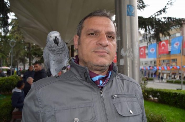 Trabzon'da çay tiryakisi papağan