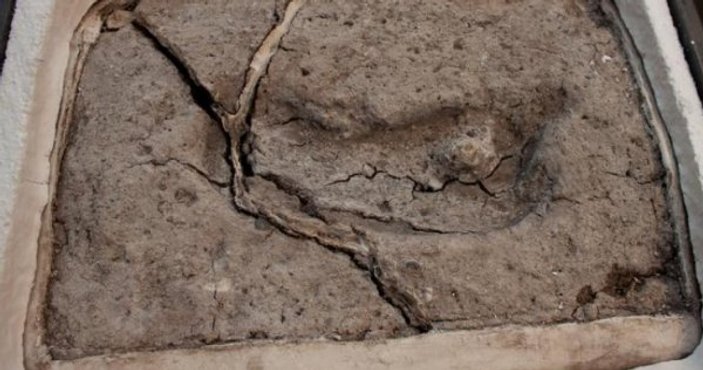 Amerika kıtasındaki en eski ayak izi bulundu