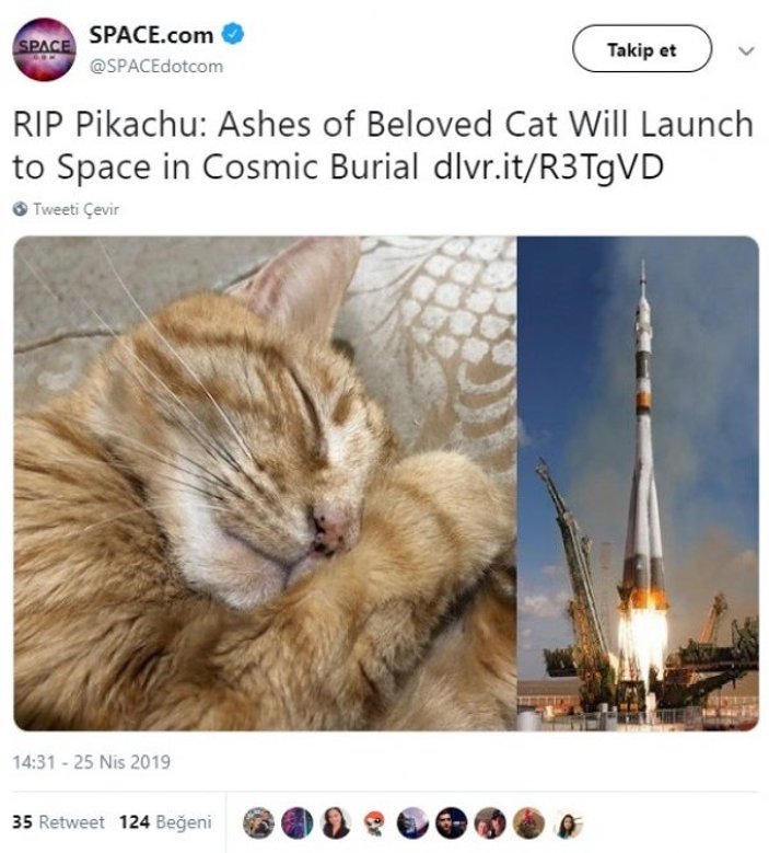 Ölen kedisinin cenazesi için  29 bin 650 lira ödeyecek