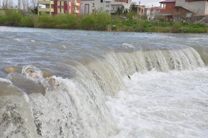 Kahramanmaraş'ta göç yolundaki balıklar şelaleye takıldı