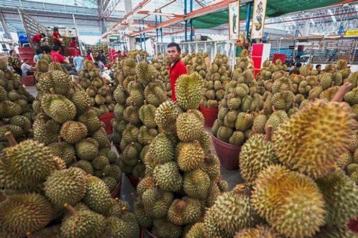 Durian meyvesi alkol testini başarısız kıldı