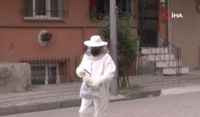 Sultangazi'de mahalleyi arılar bastı