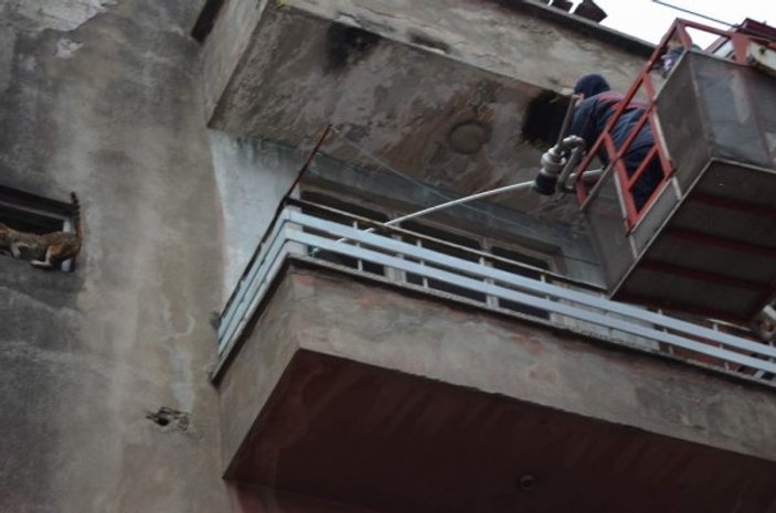 Trabzon'da kedi binanın üçüncü katında mahsur kaldı