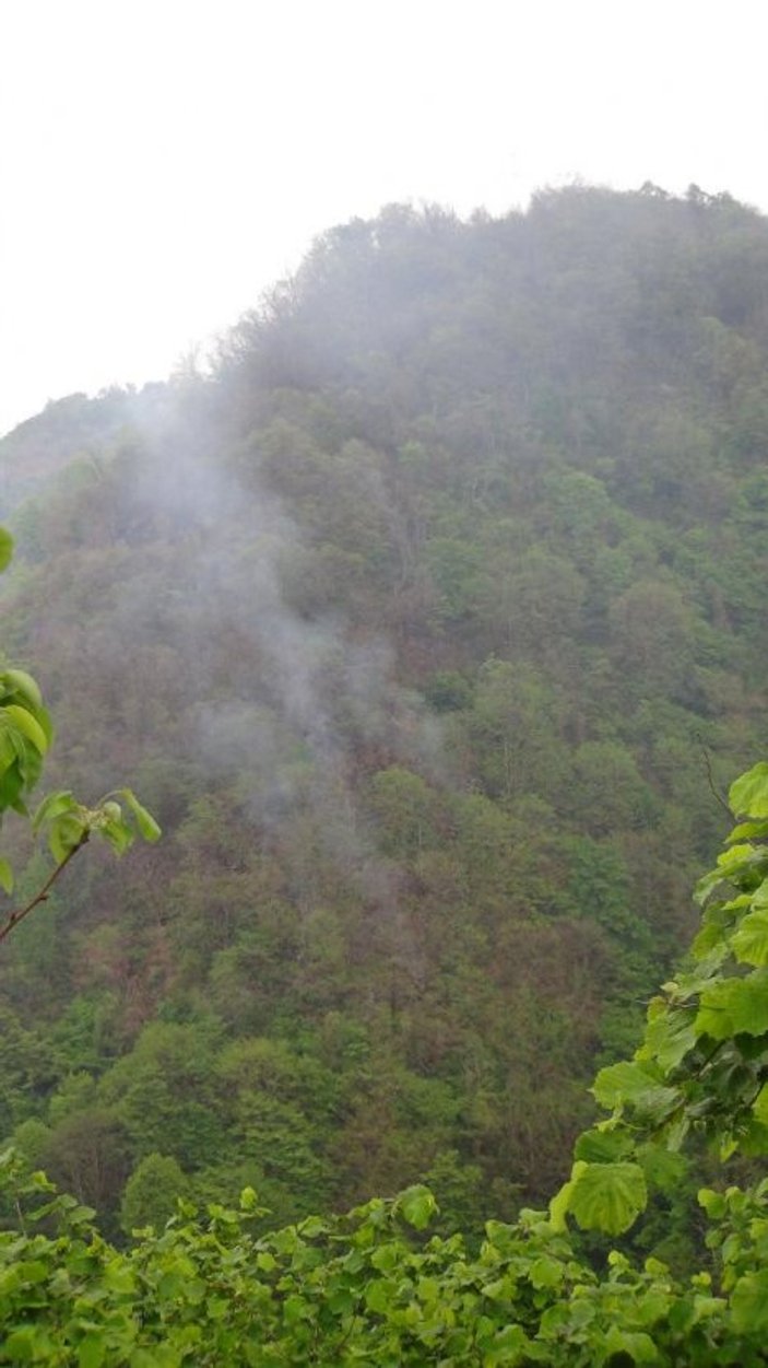 Giresun'daki orman yangını 15,5 saat sonra söndü