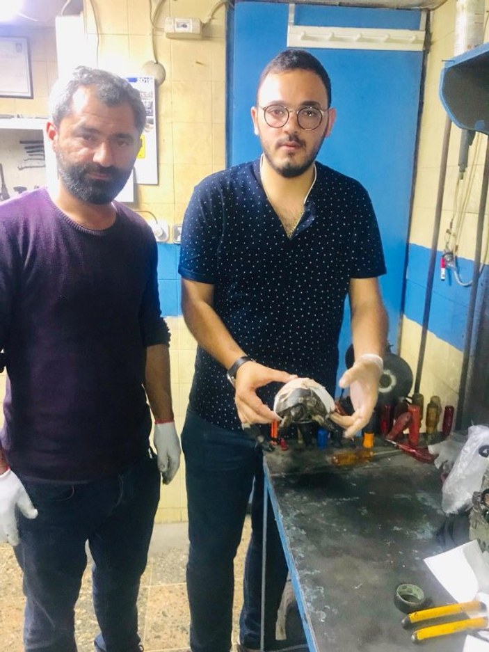 İzmir’de ezilmiş kaplumbağayı, kaportacıda yaşattılar