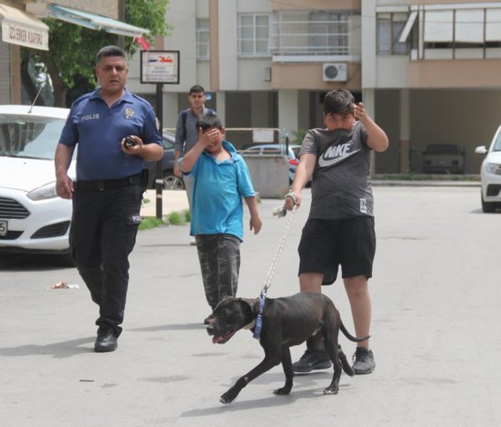 Köpeği gasbedilen çocuk polisten yardım istedi
