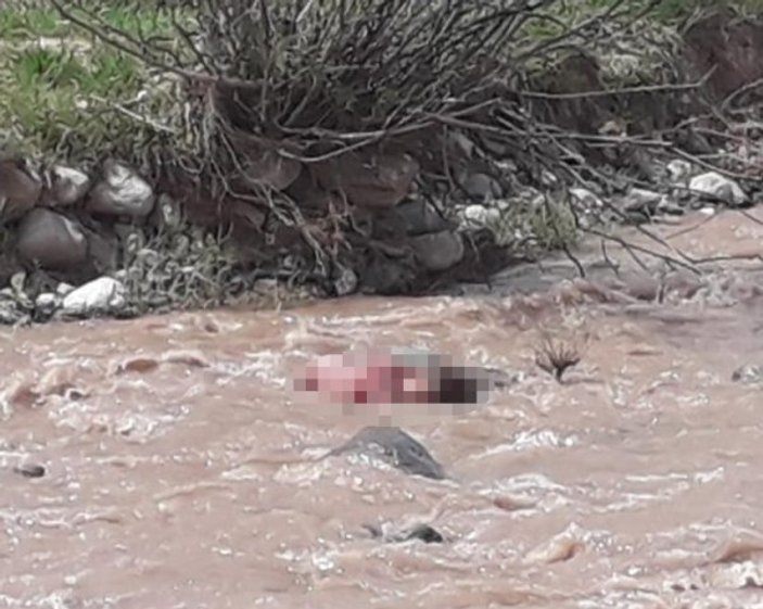 Kars'ta kaybolan Nurcan'ın cansız bedenine ulaşıldı
