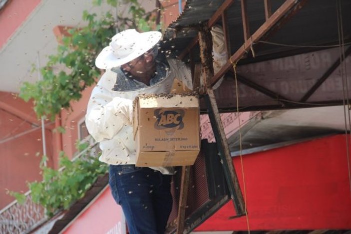 Zonguldak'ın merkezine giren arılar kepenk kapattırdı