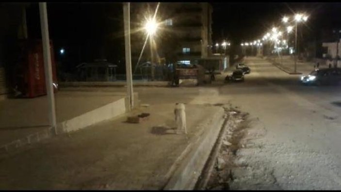 Mardin'de köpeklerin saldırısına uğrayan çocuklar