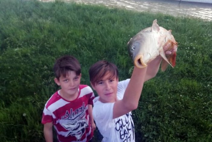 Elleriyle balık yakalayan Kastamonulu çocuklar