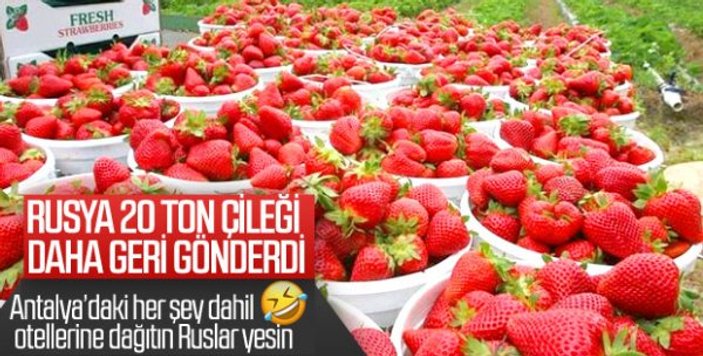 Rusya, Türkiye'deki meyve ve sebze üretiminden şikayetçi