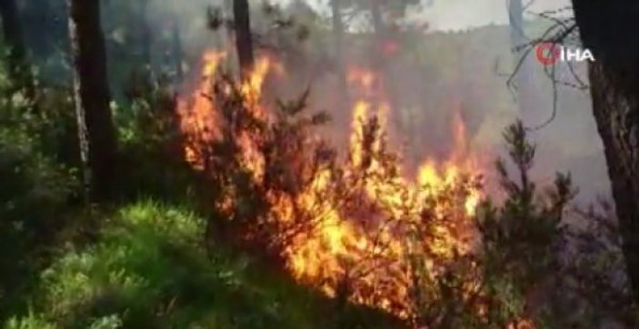 Pendik'teki Aydos Ormanı yanıyor