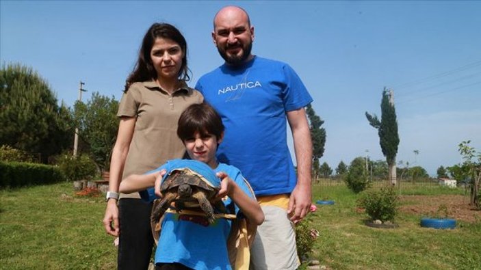 'Şanslı' kaplumbağa, yapay kabuğuyla hayata tutundu
