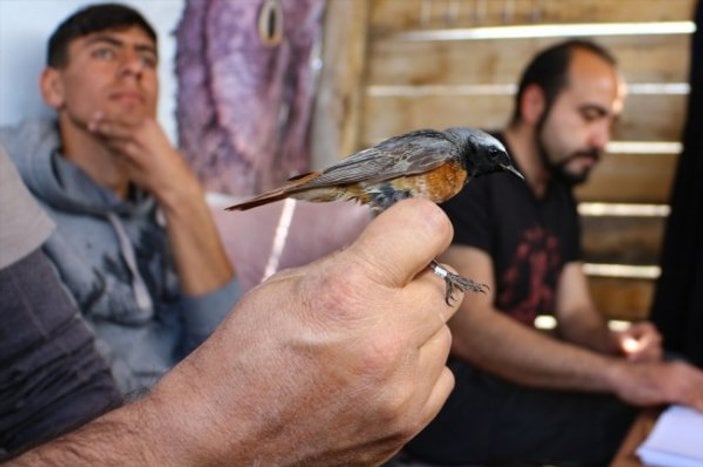 Öğrenciler kuş bilimini doğada öğreniyor