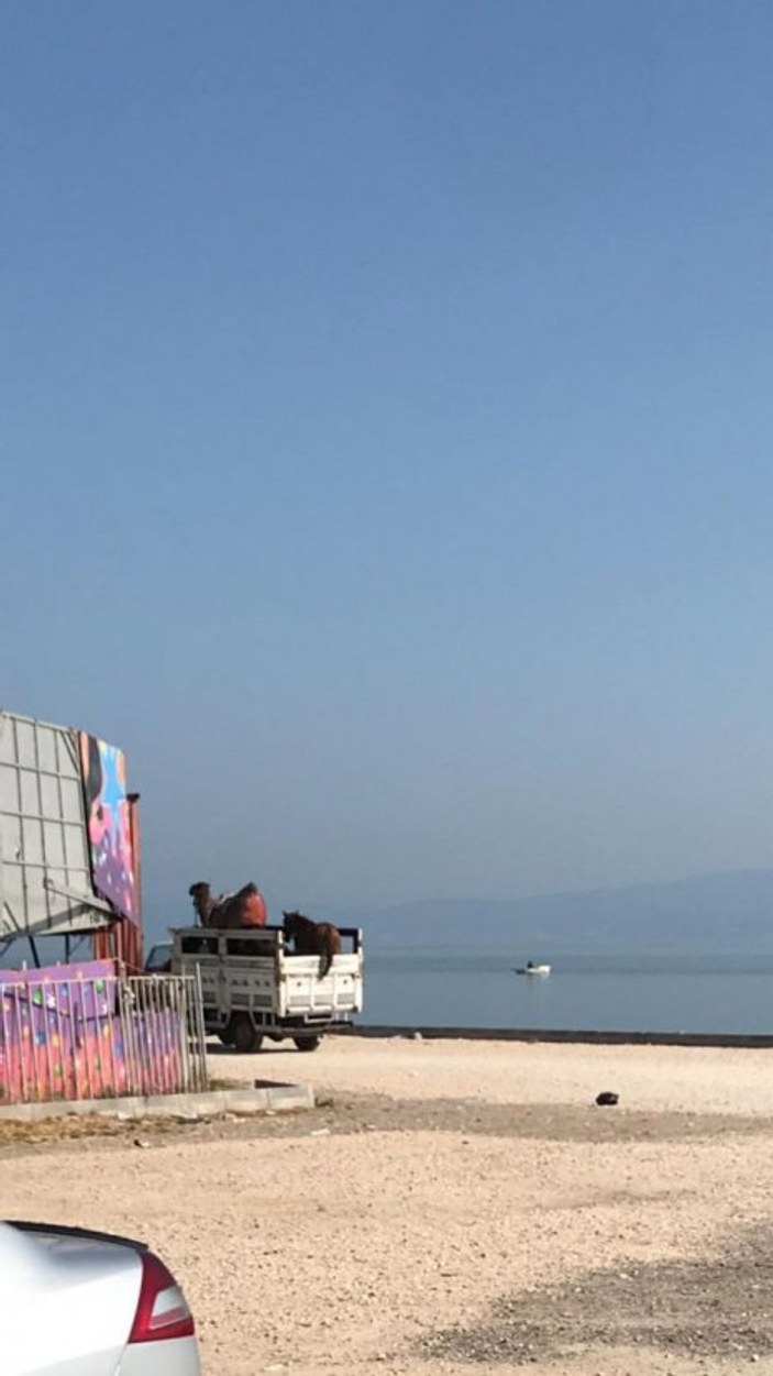 Mudanya Belediyesi Suriyelileri sahilden uzaklaştırdı
