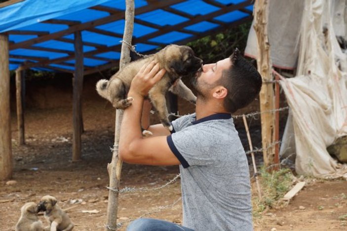 Aydın'da canını hiçe sayıp yavru köpekleri kurtardı