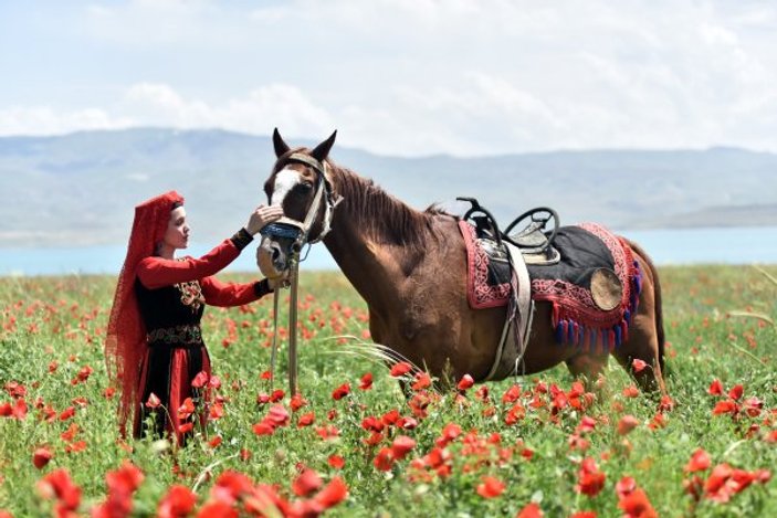 Van'da gelincik tarlalarına fotoğrafçı akını