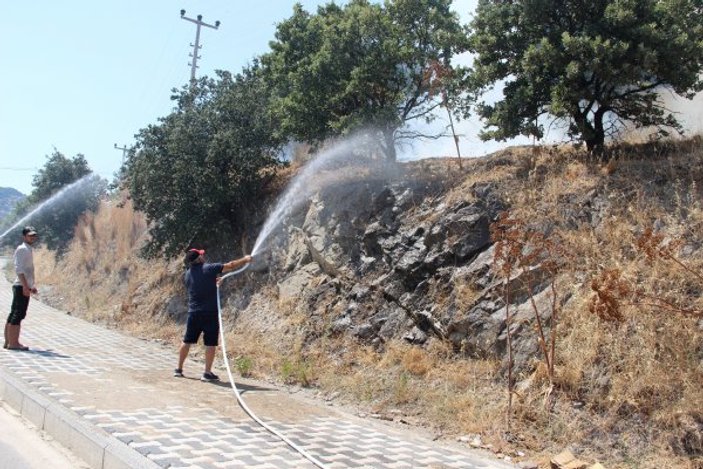 Muğla'da otluk alanda yangın