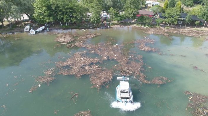 Sapanca Gölü'nden 100 ton atık toplandı