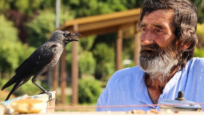 Çay tezgahında kargayla servis yapıyor