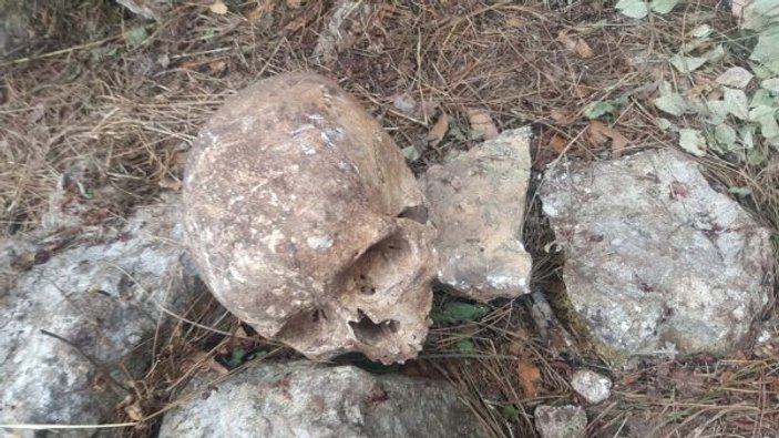 Mersin'de kafatası ve kemik bulundu