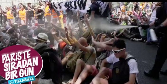 Göstericilerin suratına biber gazı sıkan Fransız polisine soruşturma