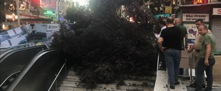 Ankara'da ağaç devrildi: 3 kişi yaralandı