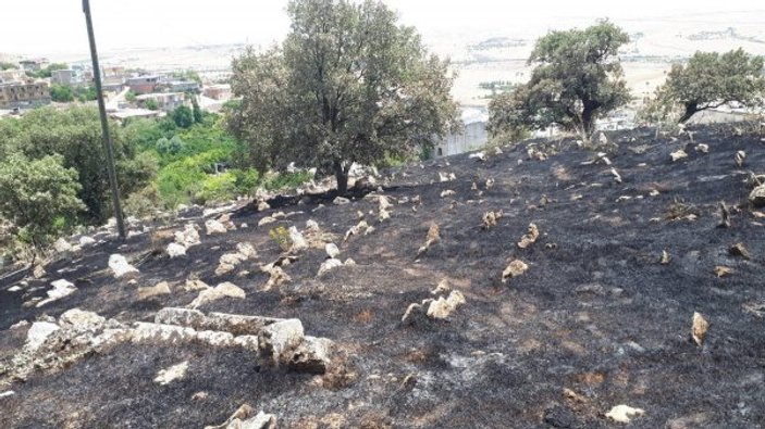 Diyarbakır'da mezarlığa düşen yıldırım yangın çıkardı