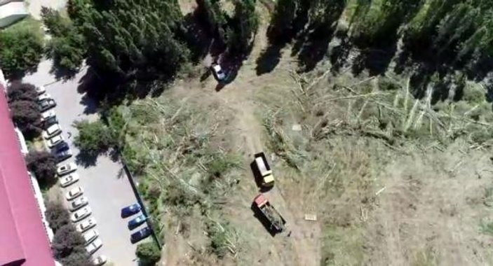 ODTÜ'de ağaçların kesildiği alanın havadan görüntüsü