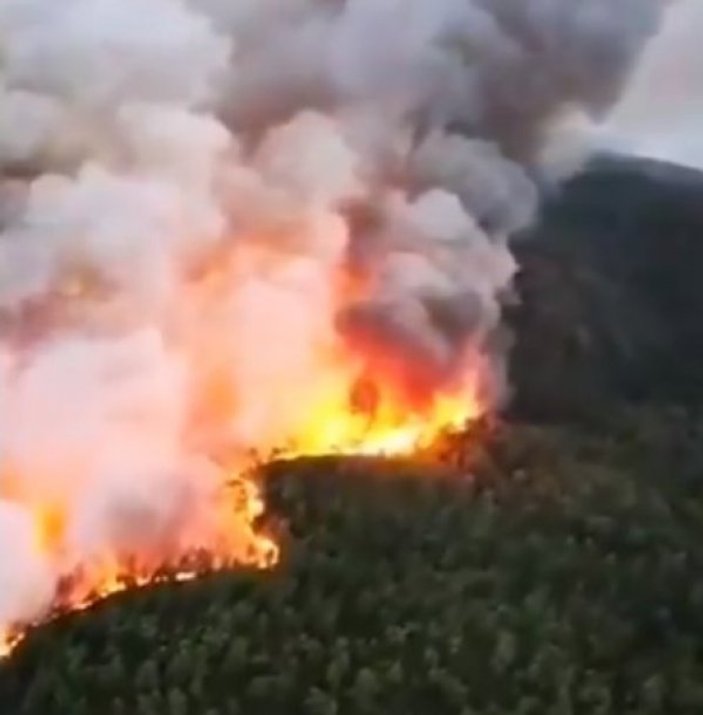 Türkiye'deki orman yangınlarının nedenleri bilinmiyor