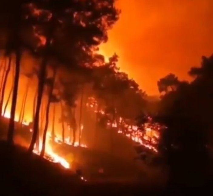 Türkiye'deki orman yangınlarının nedenleri bilinmiyor