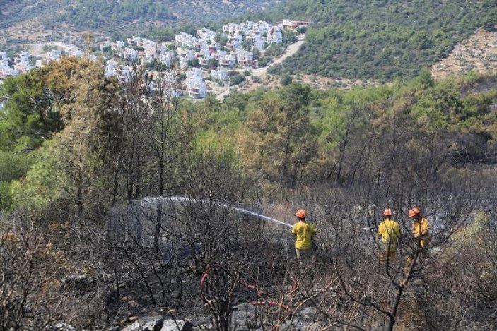 Milas'ta şüpheli orman yangını