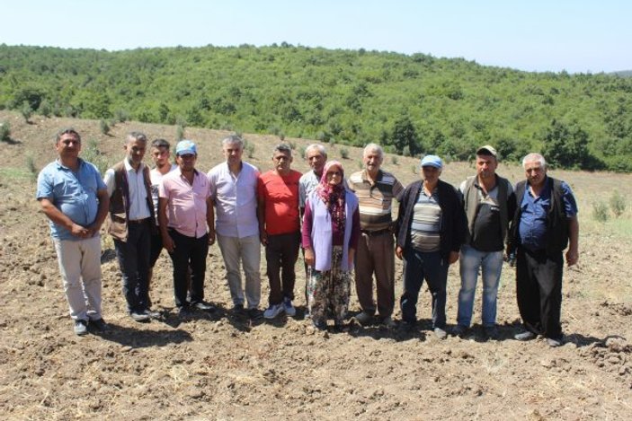 Bursa'da köylerini ağaçlandıran kişilere hapis cezası