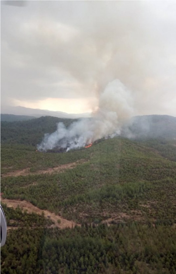 Muğla'nın Köyceğiz ilçesinde orman yangını