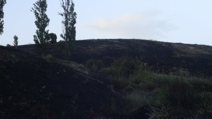 Kahramanmaraş'nın Afşin ilçesinde orman yangını