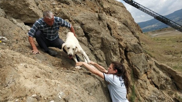 Samsun’da uçurumdaki köpek kurtarıldı