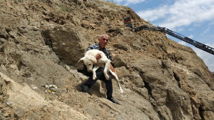 Samsun’da uçurumdaki köpek kurtarıldı