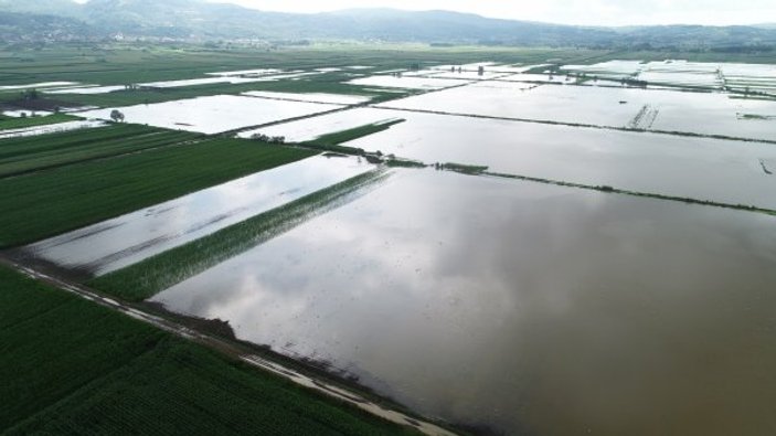Sakarya'da tarım alanları sular altında kaldı
