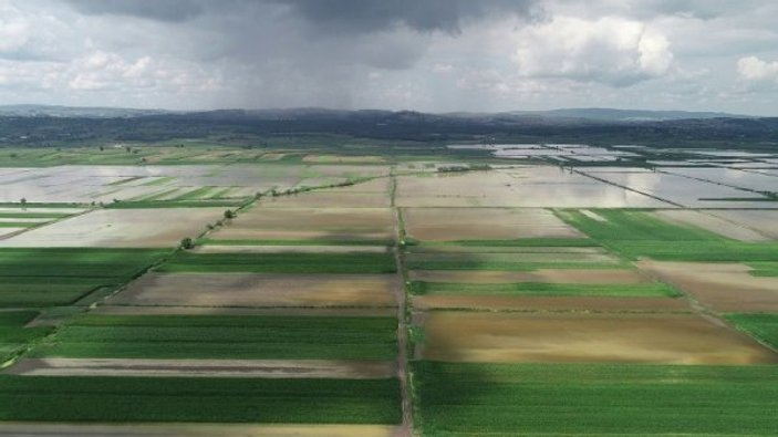 Sakarya'da tarım alanları sular altında kaldı