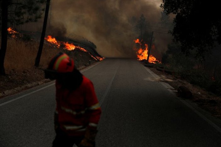 Portekiz'de orman yangını durduruldu