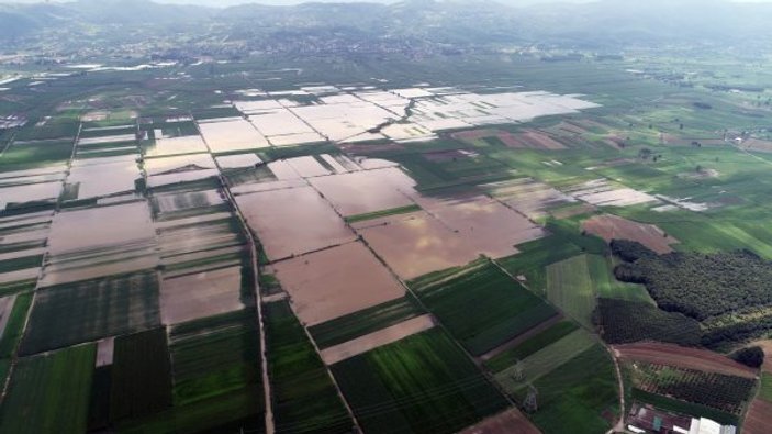 Sakarya'da bin 735 dekar tarım alanı zarar gördü